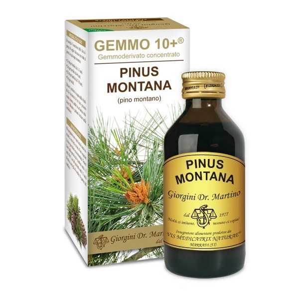 Dr. GIORGINI Gemmo 10+ Pino montano gemmoderivato 100ml